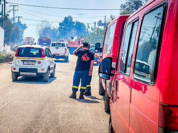 Νέα φωτιά στη Βοιωτία- 24 πυροσβέστες και εναέρια μέσα στην κατάσβεση