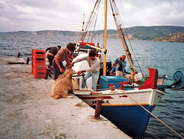 ΓΑΥΔΟΣ