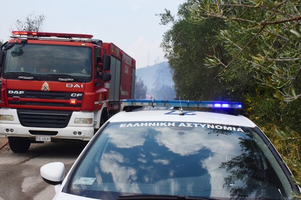 Φωτιές: Ελεύθεροι οι προσαχθέντες στο Μενίδι 