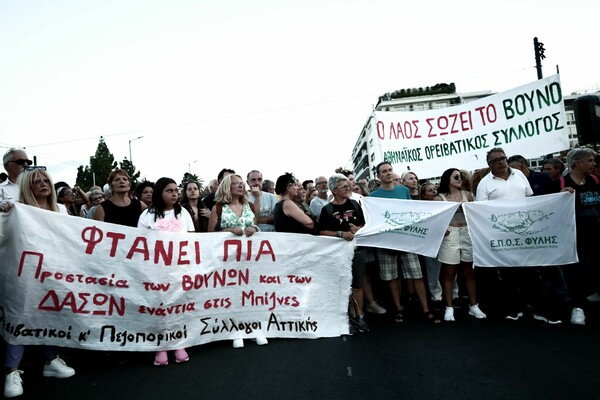 Συλλαλητήριο για τις φωτιές: Κραυγή για τα καμένα