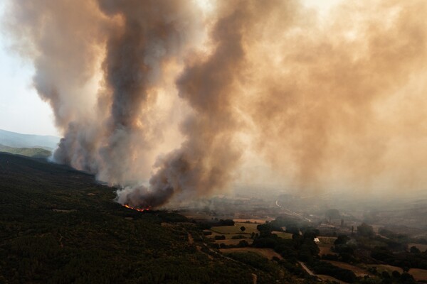 Φωτιά στον Έβρο: «Από αύριο μεγαλώνει η απειλή, αλλάζει ο αέρας- Μετά δεν ξέρουμε πώς θα σταματήσει η επέλαση»