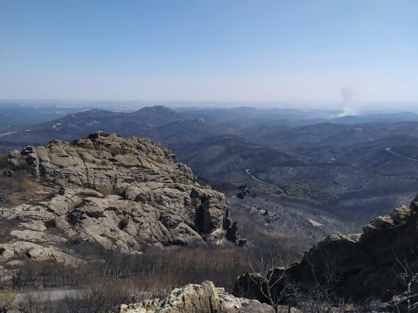 Φωτιά στον Έβρο: Το δάσος της Δαδιάς πριν και μετά- Αποκαρδιωτικές εικόνες