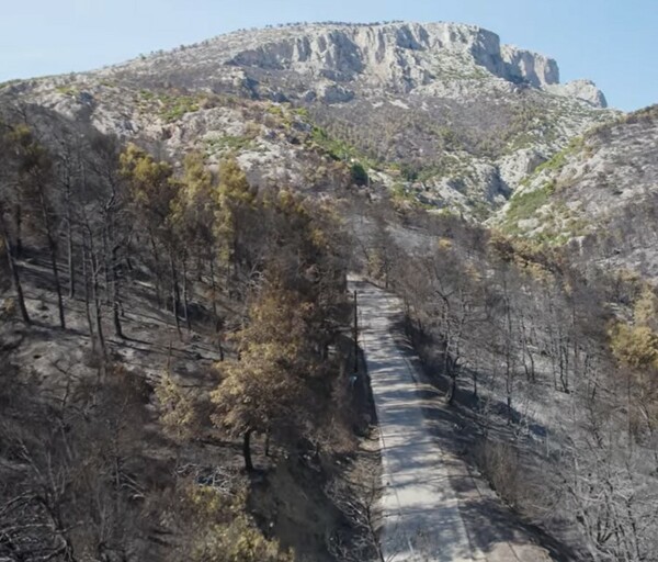 Η Φυλή πριν και μετά την καταστροφική φωτιά - Εικόνες από drone