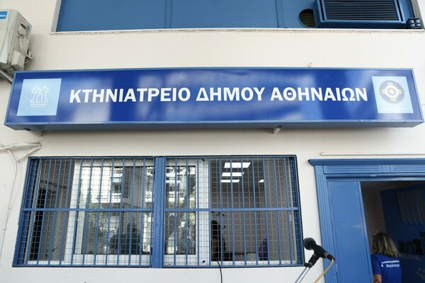Δήμος Αθηναίων: Το πρώτο κτηνιατρείο άνοιξε τις πόρτες του
