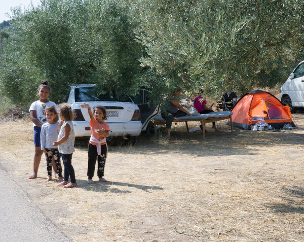 Γιορτή τρύγου στο κτήμα Παλιβού