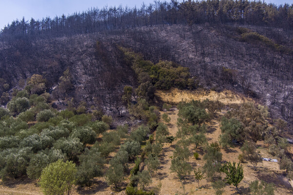 Σύλλογος Ελλήνων Αρχαιολόγων: Να αλλάξει η εφαρμοσμένη πολιτική στο φυσικό και αρχαιολογικό τοπίο