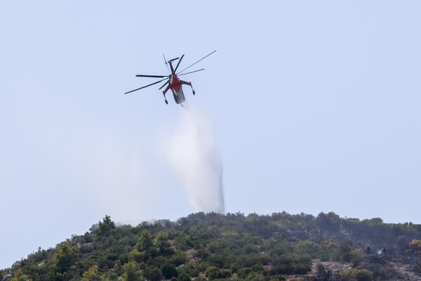 Φωτιά τώρα στη Φθιώτιδα - Σηκώθηκαν δύο αεροπλάνα και ένα ελικόπτερο 