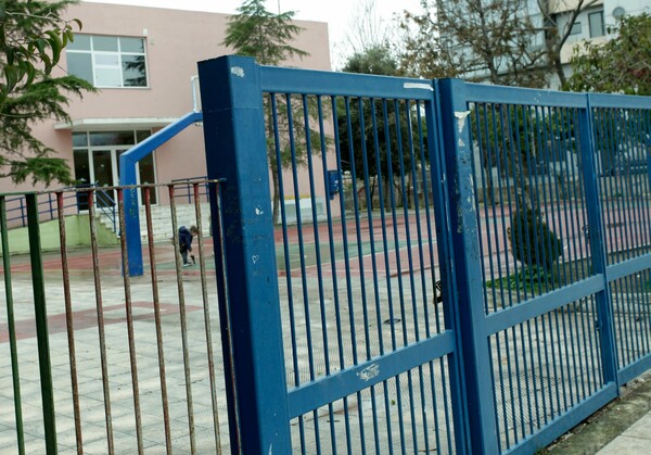 Θηριωδία σε δημοτικό σχολείο στη Λέσβο- Έριξαν φόλα σε σκύλο μέσα σε σχολείο