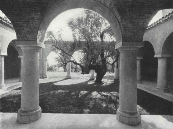 Τι έκανες στον πόλεμο, Κοκό;