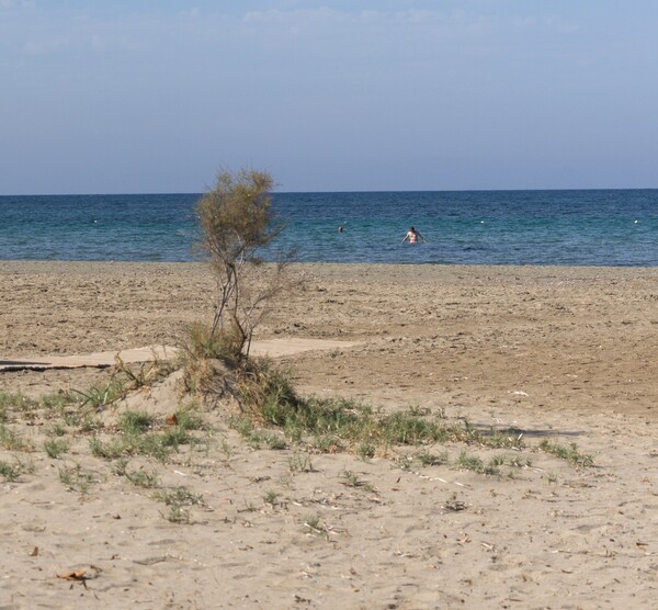 η κηδεια