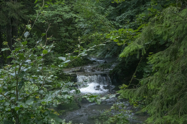 Rαντεβού στο Dolnośląskie (Πολωνία)