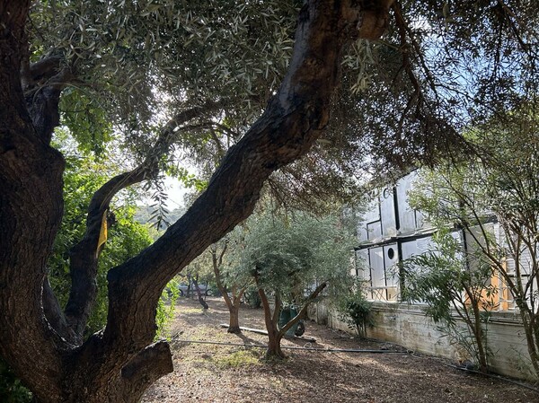 Γιατί έφυγα από το κέντρο της Αθήνας;