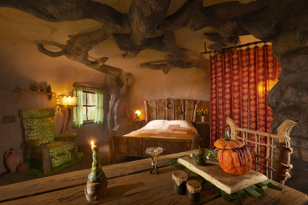 Shrek’s ‘swamp’ now available to rent on Airbnb
