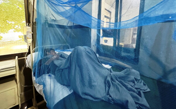 Δάγκειος πυρετός: Θα «απογειωθεί» αυτή τη δεκαετία σε νότια Ευρώπη, ΗΠΑ και Αφρική