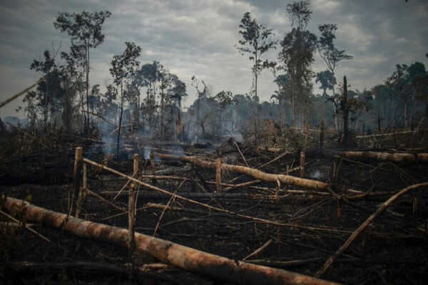 Βραζιλία - Αποψίλωση του δάσους: Πνίγεται στους καπνούς η πολιτεία Αμαζόνα
