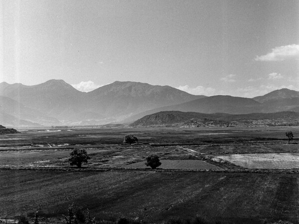 Στυμφαλία, Τέξας.