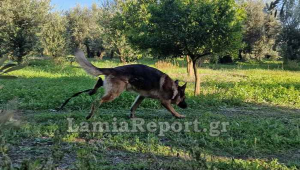 Φθιώτιδα: Γυναίκα εξαφανίστηκε από το σπίτι της