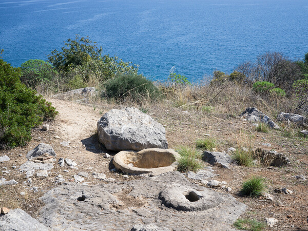 Φθινοπωρινή Ασσίνη