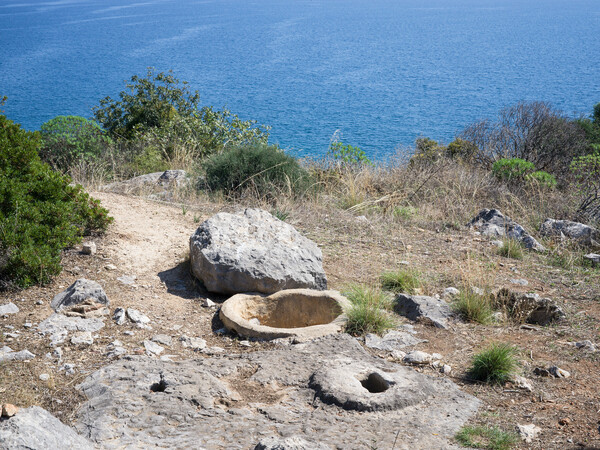 Φθινοπωρινή Ασσίνη