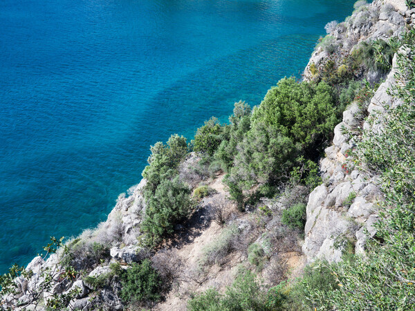 Φθινοπωρινή Ασσίνη