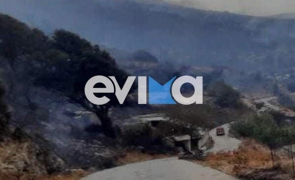 Φωτιά στην Κάρυστο: Μάχη με τις φλόγες και τους ανέμους - Καίει την Αμυγδαλιά, κατευθύνεται προς Πρινιά