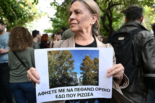 ΤΣΕΚ Εξάρχεια - Ριζάρη: συμβαίνουν «δενδροκτονίες» στην Αθήνα;