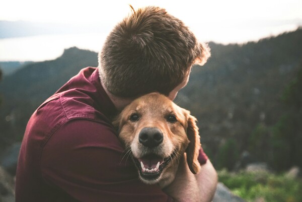 Τι μπορούν να μας διδάξουν τα golden retriever για τον καρκίνο;