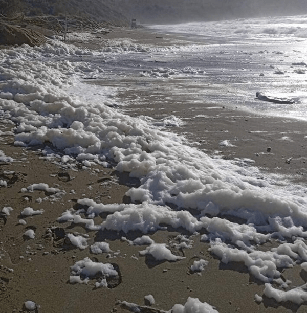 Τι είναι το «cappuccino coast» που εμφανίστηκε στις παραλίες της Κρήτης
