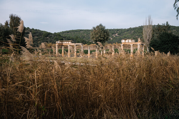 Βραυρώνα