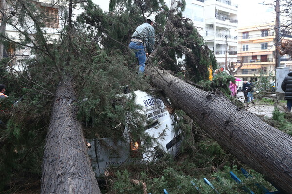 φωτο