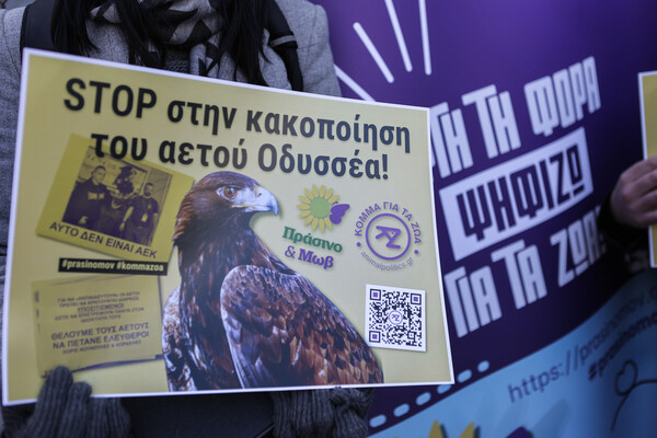 Αετός