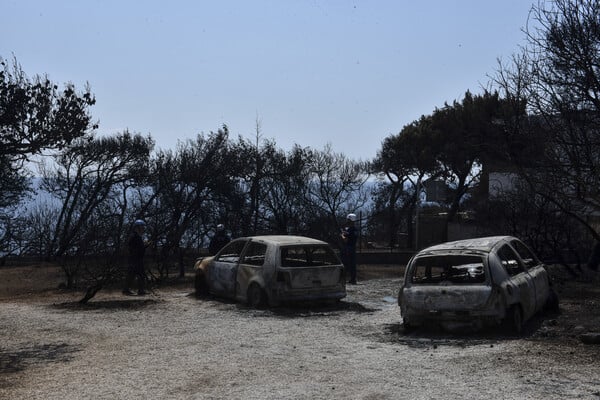 Δίκη για το Μάτι - Δούρου: «Δεν είπαν λέξη για νεκρούς στον πρωθυπουργό»