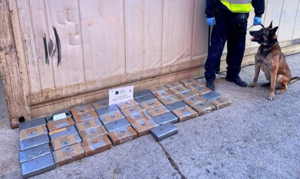 ΑΑΔΕ: Εντοπίστηκε κοκαΐνη αξίας 2,8 εκατ. ευρώ σε κοντέινερ με μπανάνες