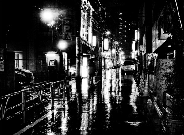 Oι στοιχειωμένες φωτογραφίες του Daido Moriyama για τις αδέσποτες γάτες του Τόκιο