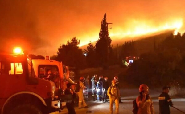 Υπό έλεγχο η φωτιά στη Ζάκυνθο - Κάηκαν πάνω από 170 στρέμματα δάσους