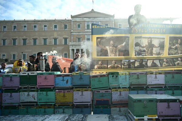 Με καπνιστήρια, κυψέλες και ειδικές στολές οι μελισσοκόμοι στο Σύνταγμα