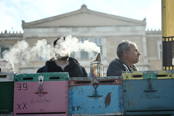 Με καπνιστήρια, κυψέλες και ειδικές στολές οι μελισσοκόμοι στο Σύνταγμα