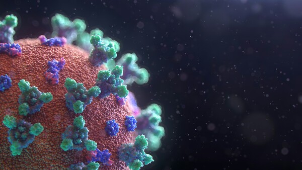 Ινστιτούτο Παστέρ: Ανοδική τάση παρουσιάζει η ιλαρά