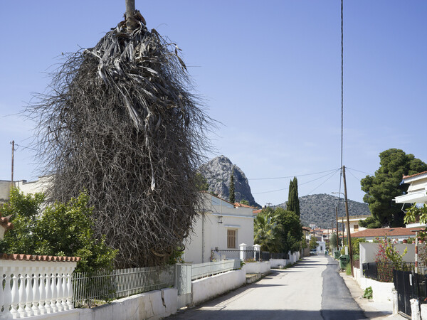 Ασίνη (το χωριό)