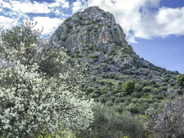 Ασίνη (το χωριό)