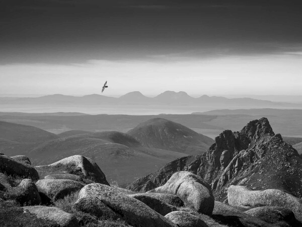 Οι νικήτριες φωτογραφίες του διαγωνισμού British Wildlife Photography