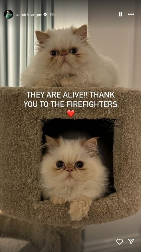 Κάρα Ντελεβίν: Το σπίτι καταστράφηκε από τη φωτιά - Πυροσβέστες έσωσαν τις δύο γάτες της