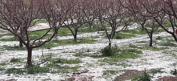 Ζημιές σε καλλιέργειες από σφοδρή χαλαζόπτωση στο Ναύπλιο