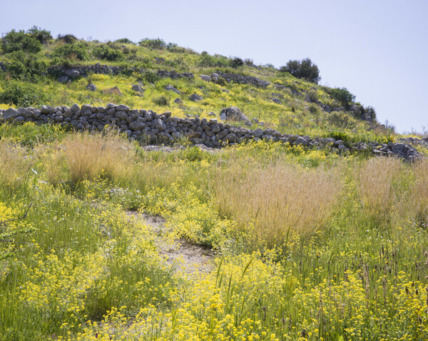 Η ακρόπολη της αρχαίας Μιδέας