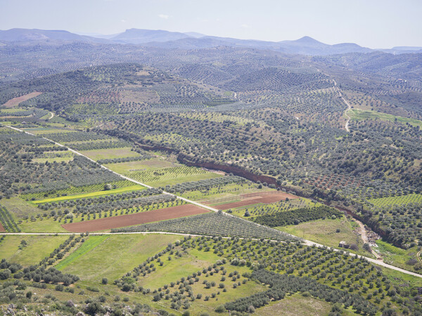 Η ακρόπολη της αρχαίας Μιδέας