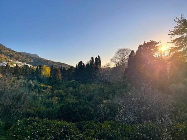 Μια Ανδριώτισσα μαγείρισσα με μυθιστορηματική ζωή