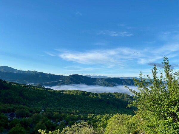 Όλα από την αρχή στο Σκαμνέλι, στα Ζαγοροχώρια 