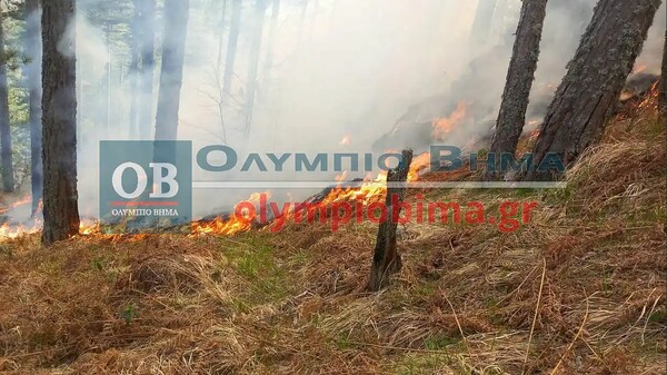 Φωτιά στα Πιέρια όρη: Ενισχύθηκαν οι επίγειες δυνάμεις