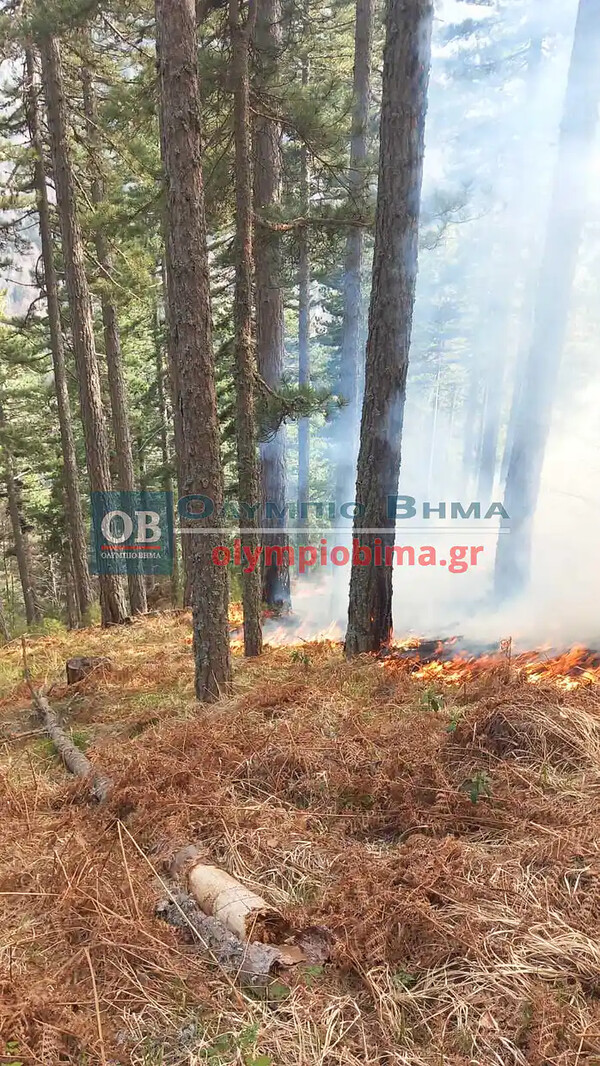 Φωτιά στα Πιέρια όρη - Οι δυσκολίες που αντιμετωπίζει η Πυροσβεστική