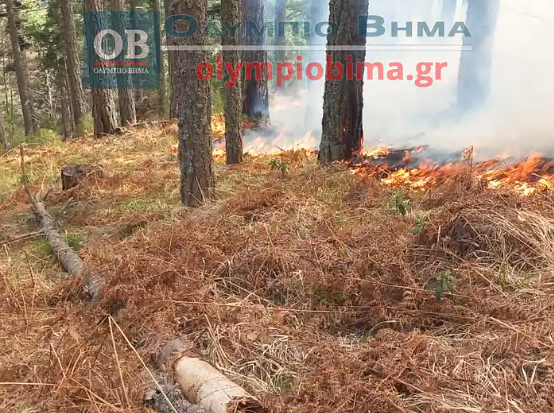 Φωτιά στα Πιέρια όρη: Και αεροσκάφος στη μάχη της κατάσβεσης